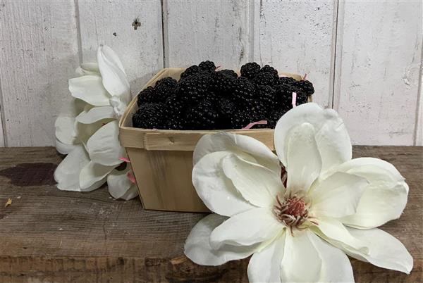 Blackberry Magnolia